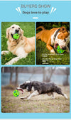 Interactive Rolling Squeaky Ball Dog Toy