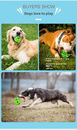 Interactive Rolling Squeaky Ball Dog Toy
