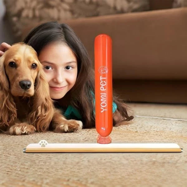 Pet Hair Remover for Carpets & Rugs Carpet and Rug Pet Hair Removal
