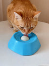 Interactive Pet Slow Feeder Bowl