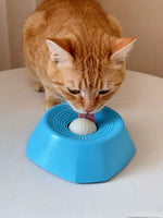 Interactive Pet Slow Feeder Bowl