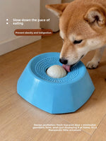 Interactive Pet Slow Feeder Bowl