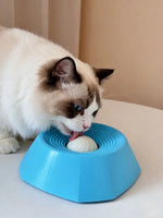 Interactive Pet Slow Feeder Bowl