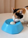 Interactive Pet Slow Feeder Bowl