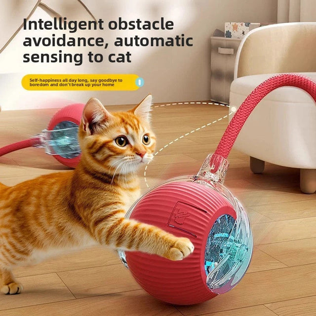 Cat Dog Ball Smart Rolling Ball Cat Dog Toy Ball