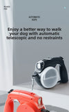 Retractable LED Pet Leash With Built-In Treat and Water Compartments